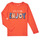 Vêtements Fille T-shirts manches courtes Name it NMFVIX LS TOP Orange