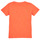 Vêtements Garçon T-shirts manches courtes Name it NKMFAWA SS TOP Orange
