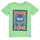 Vêtements Garçon T-shirts manches courtes Name it NKMFAWA SS TOP Vert