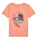 Vêtements Garçon T-shirts manches courtes Name it NKMFICOLAJ SS TOP BOX Orange