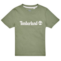Vêtements Garçon T-shirts manches courtes Timberland T25T77-708-J Kaki