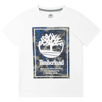 Vêtements Garçon T-shirts manches courtes Timberland T25T79-10P Blanc