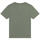 Vêtements Garçon T-shirts manches courtes Timberland T25T87-708-J Kaki