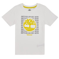 Vêtements Garçon T-shirts manches courtes Timberland T25T97-10P-C Blanc