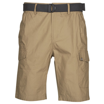 Vêtements Homme Shorts / Bermudas Oxbow P10RAGO Beige