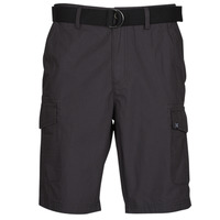 Vêtements Homme Shorts / Bermudas Oxbow P10RAGO Gris foncé