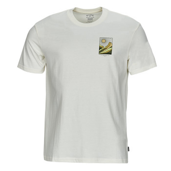 Vêtements Homme T-shirts manches courtes Billabong SANDS SS Blanc