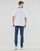 Vêtements Homme T-shirts manches courtes Reebok Classic ARCH LOGO VECTORR TEE Blanc