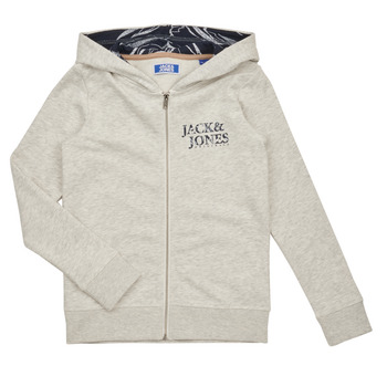 Vêtements Garçon Sweats Jack & Jones JORCRAYON SWEAT ZIP HOOD Beige