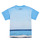 Vêtements Garçon T-shirts manches courtes Desigual TS_ALBERT Bleu