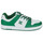 Chaussures Homme Baskets basses DC Shoes MANTECA 4 SN Blanc / Vert