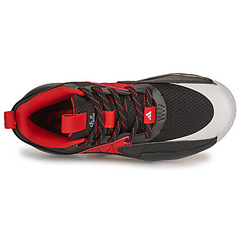 adidas Performance DAME CERTIFIED Noir / Rouge