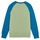 Vêtements Enfant Sweats Patagonia K'S LW CREW SWEATSHIRT Multicolore