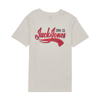 Vêtements Garçon T-shirts manches courtes Jack & Jones JJELOGO TEE SS NECK 2 COL JNR Blanc