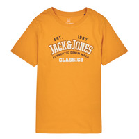 Vêtements Garçon T-shirts manches courtes Jack & Jones JJELOGO TEE SS NECK 2 COL JNR Jaune