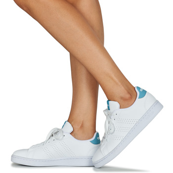 Adidas Sportswear ADVANTAGE Blanc / Bleu clair