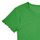 Vêtements Fille T-shirts manches courtes Only KOGNELLA S/S O-NECK TOP NOOS JRS Vert