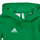 Vêtements Enfant Sweats adidas Performance ENT22 HOODY Y Vert