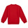 Vêtements Enfant Sweats adidas Performance ENT22 SW TOPY Rouge