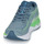 Chaussures Homme Running / trail Mizuno WAVE SKYRISE 4 Bleu / Vert
