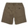 Vêtements Garçon Shorts / Bermudas Teddy Smith S-SLING JR BEDF Vert clair