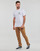 Vêtements Homme T-shirts manches courtes Vans ORIGINAL TALL TYPE SS TEE Blanc