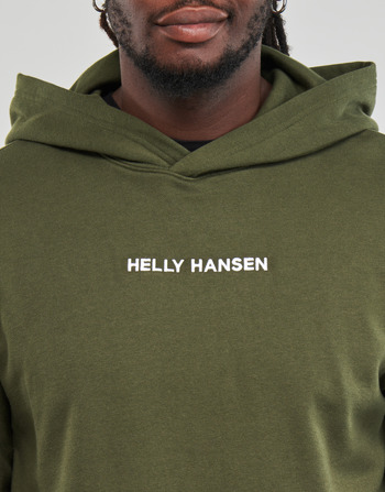 Helly Hansen CORE GRAPHIC SWEAT HOODIE Kaki