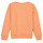 Vêtements Fille Sweats Name it NKFLOFFINA LS SWE BRU PS Orange