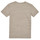Vêtements Garçon T-shirts manches courtes Ikks XW10003 Gris