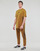 Vêtements Homme T-shirts manches courtes Adidas Sportswear FI 3S T Kaki