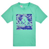 Vêtements Enfant T-shirts manches courtes Adidas Sportswear AKD GT vert easy