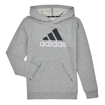 Vêtements Garçon Sweats Adidas Sportswear BL 2 HOODIE bruyere gris moyen