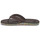 Chaussures Homme Tongs Quiksilver CARVER SUEDE RECYCLED Marron