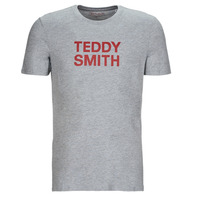 Vêtements Homme T-shirts manches courtes Teddy Smith TICLASS Gris