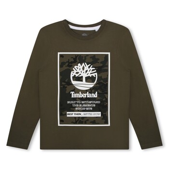Vêtements Garçon T-shirts manches longues Timberland T25U27-655-C Kaki