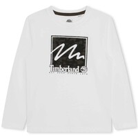 Vêtements Garçon T-shirts manches courtes Timberland T25U35-10P-C Blanc