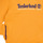 Vêtements Garçon Sweats Timberland T25U56-575-J Jaune