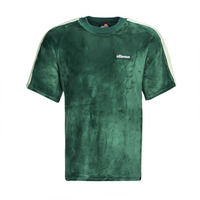 Vêtements Homme T-shirts manches courtes Ellesse LORETTI Vert foncé