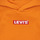 Vêtements Garçon Sweats Levi's LVN BOXTAB PULLOVER HOODIE Orange