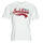 Vêtements Homme T-shirts manches courtes Jack & Jones JJELOGO TEE SS O-NECK 2 COL AW23 SN Blanc