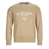 Vêtements Homme Sweats Calvin Klein Jeans VARSITY CURVE CREW NECK Beige