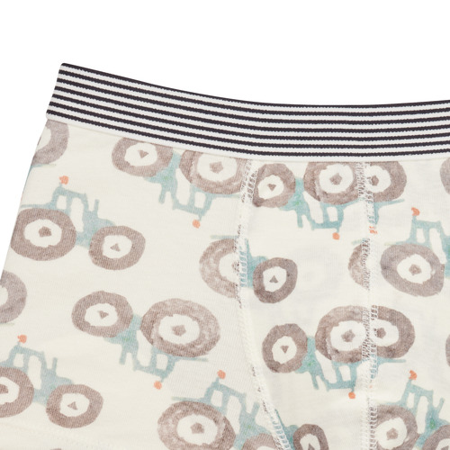 Petit Bateau BOXERS PETIT BATEAU PACK X5 Multicolore