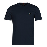 Vêtements Homme T-shirts manches courtes Tommy Hilfiger SMALL IMD TEE Marine