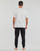 Vêtements Homme T-shirts manches courtes Tommy Hilfiger SS TEE LOGO Blanc