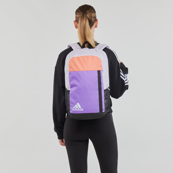 Adidas Sportswear MOTION BOS BP Violet / Gris / Blanc