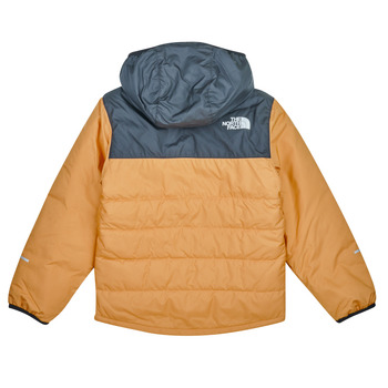 The North Face BOYS NEVER STOP SYNTHETIC JACKET Marron
