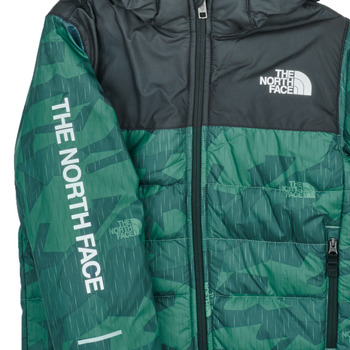 The North Face BOYS NEVER STOP SYNTHETIC JACKET Vert