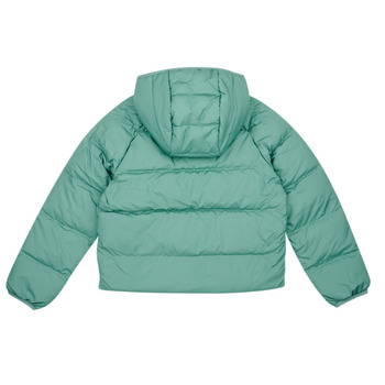 The North Face BOYS NORTH DOWN REVERSIBLE HOODED JACKET Noir / Vert
