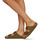 Chaussures Femme Mules Birkenstock ARIZONA Vert