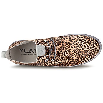 Ylati BAIA F Leopard